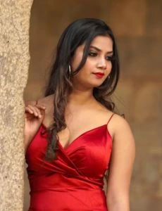 call girl service in Hisar